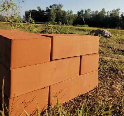 Schlamm-Clay Brick Making Machine Productions-Linie 2,5 | Verdrängungsdruck 2.8MPa