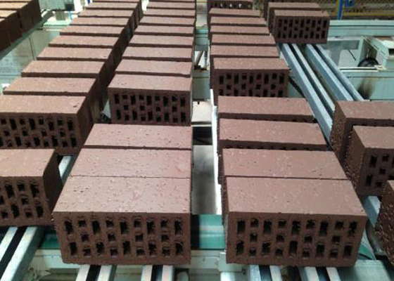 Ineinander greifenclay red brick making machine mit trockenerem Kammer-Projekt