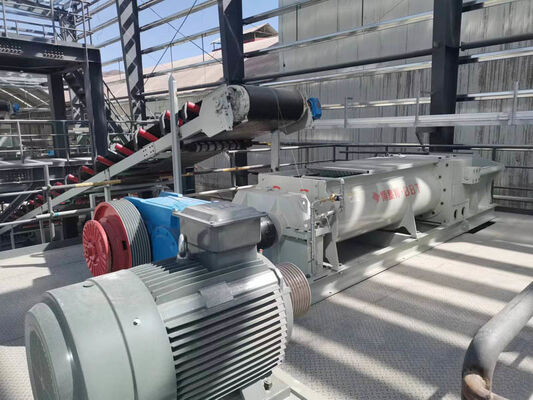 30 bis 120 Tonnen/h graue Doppelwalzenbrecher-Rohmaterialzerkleinerung für die Ziegelherstellung von BBT-Hersteller