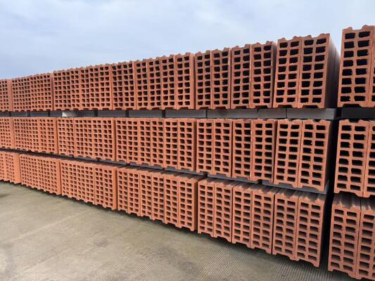 Tonziegel-Produktionslinie, Trocknungs- und Brennsystemtechnologie für Hohlblocksteine ​​und Wandpaneele